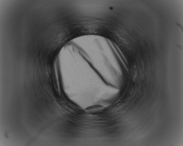 X0000093120747200710171245