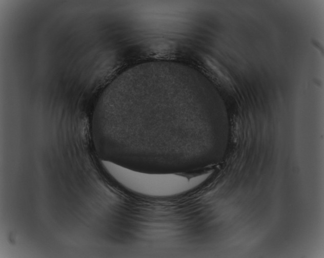 X0000093120748200710171245