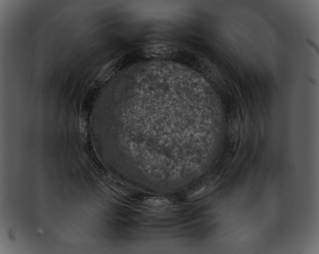 X0000093120749200710171245