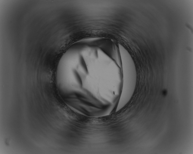 X0000093120750200710171245