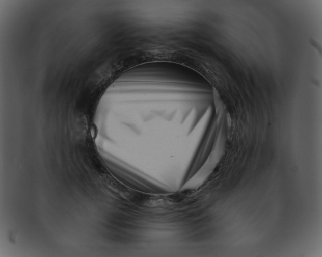 X0000093120752200710171245