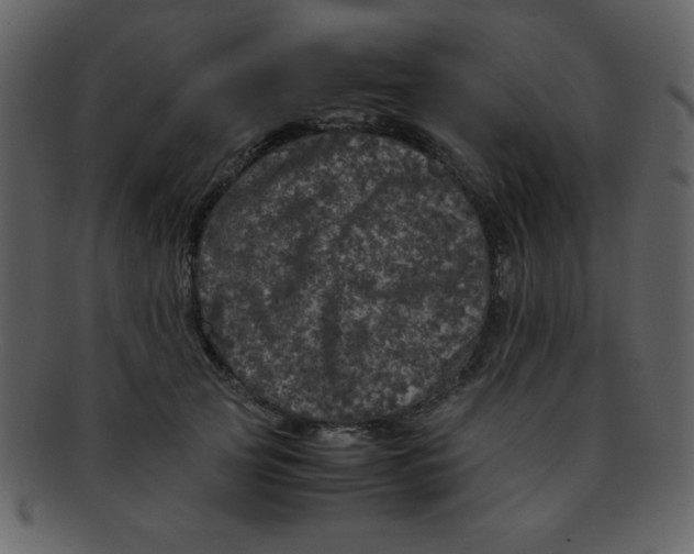 X0000093120753200710171245