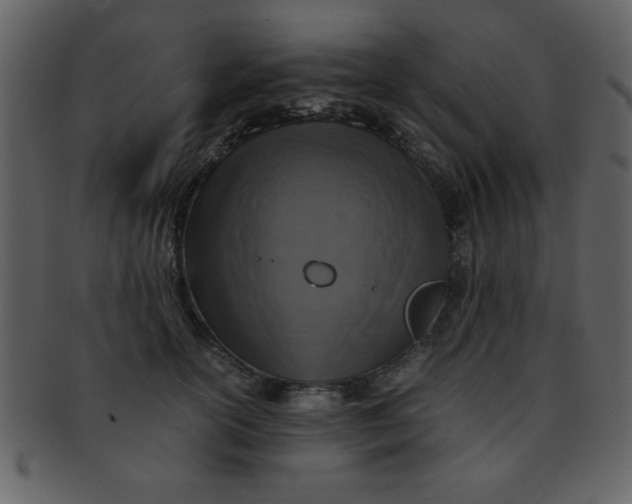 X0000093120754200710171245