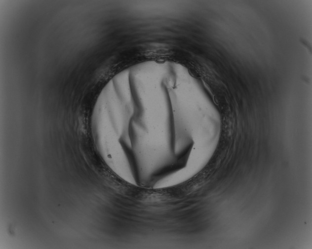 X0000093120755200710171245