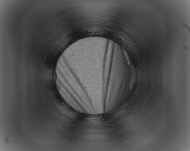 X0000093120756200710171245