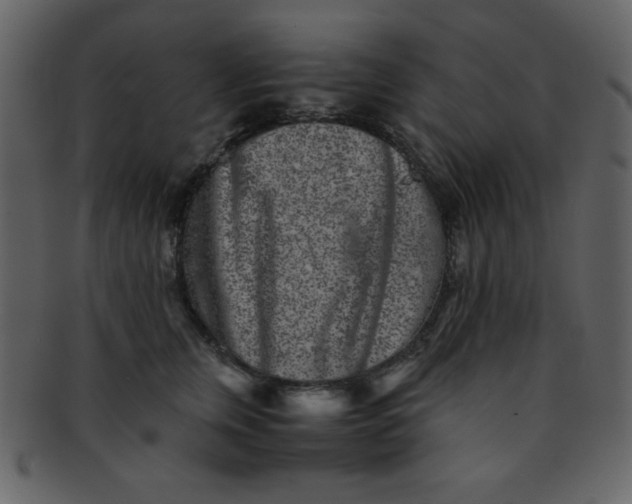 X0000093120759200710171245