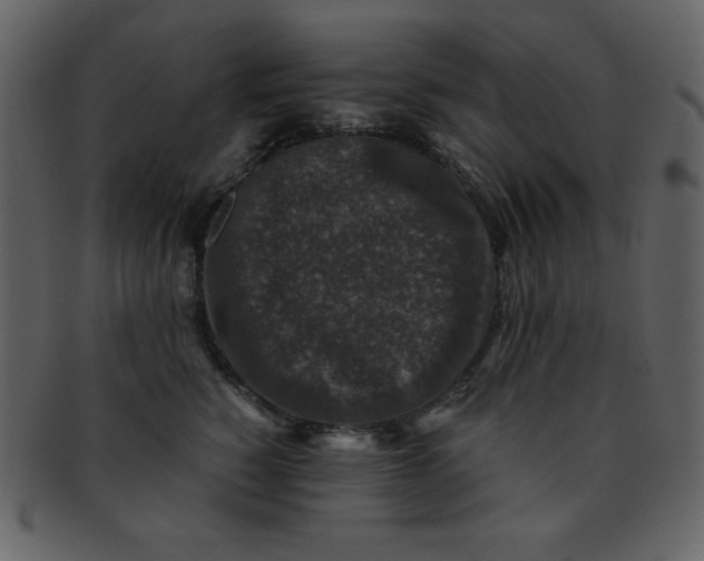 X0000093120760200710171245