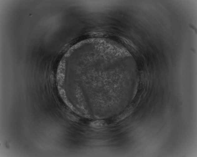 X0000093120761200710171245