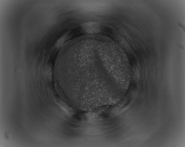 X0000093120762200710171245