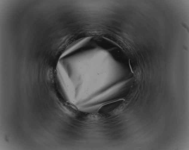 X0000093120764200710171245