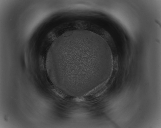 X0000093120765200710171245