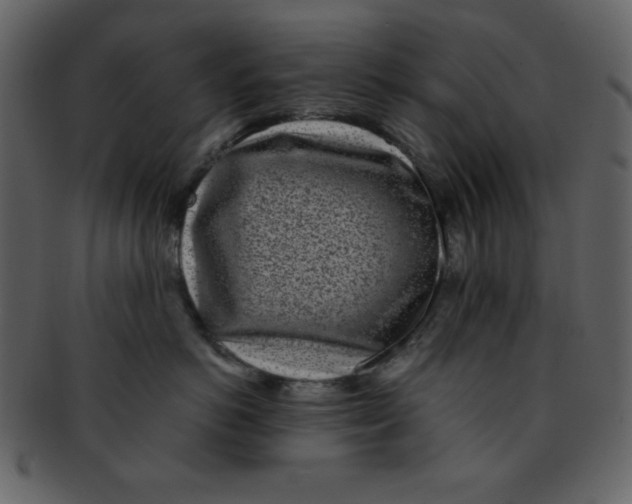 X0000093120766200710171245