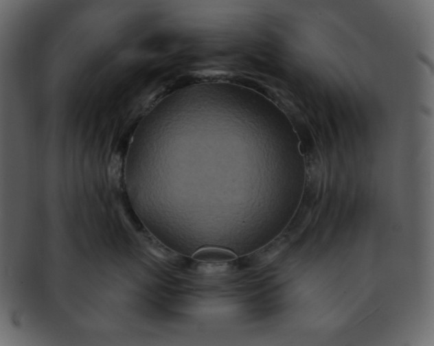 X0000093120767200710171245