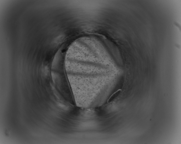 X0000093120768200710171245