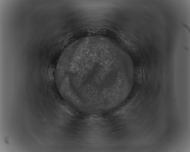 X0000093120770200710171245