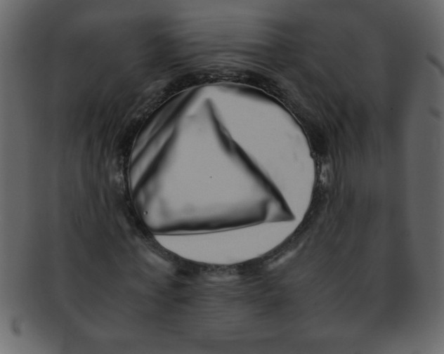 X0000093120771200710171245