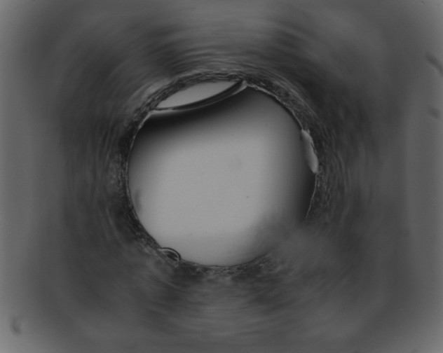 X0000093120773200710171245