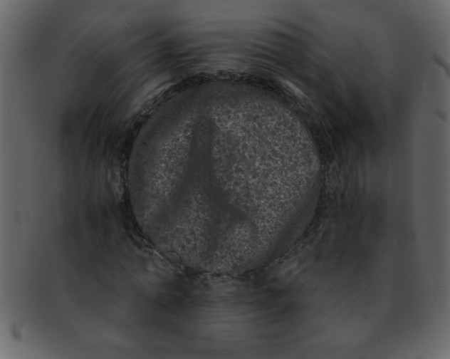 X0000093120774200710171245