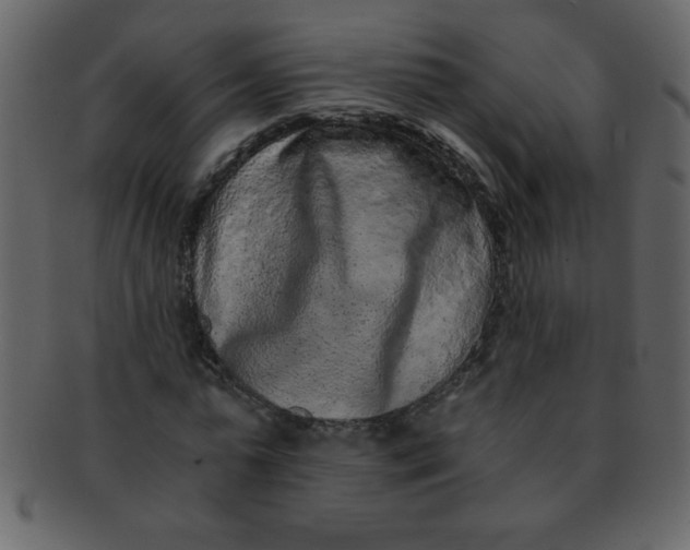 X0000093120775200710171245