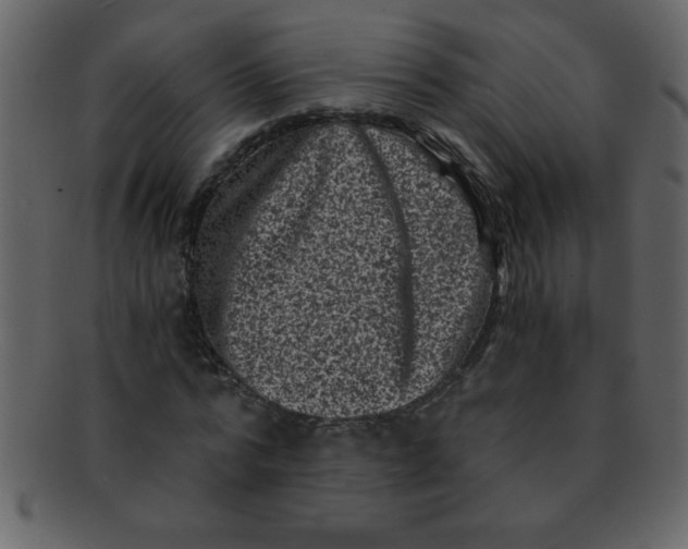 X0000093120776200710171245