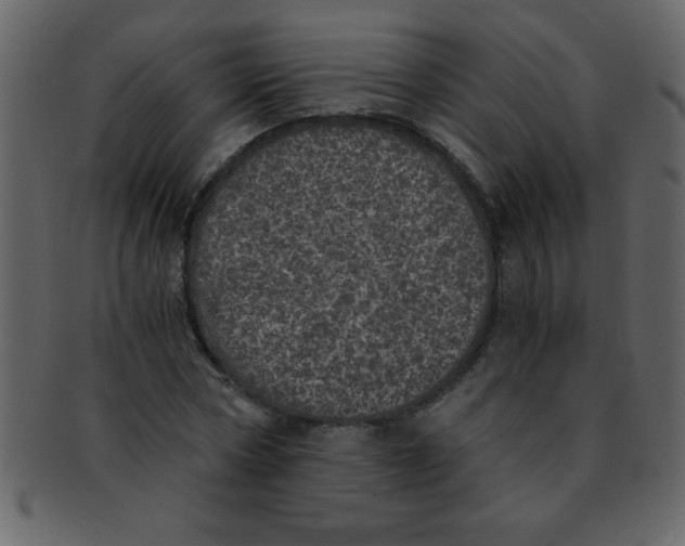 X0000093120778200710171245