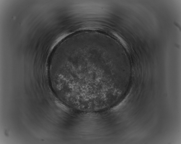 X0000093120779200710171245