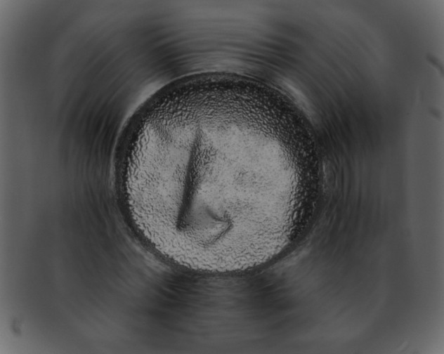 X0000093120780200710171245