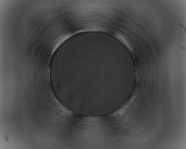 X0000093120781200710171245