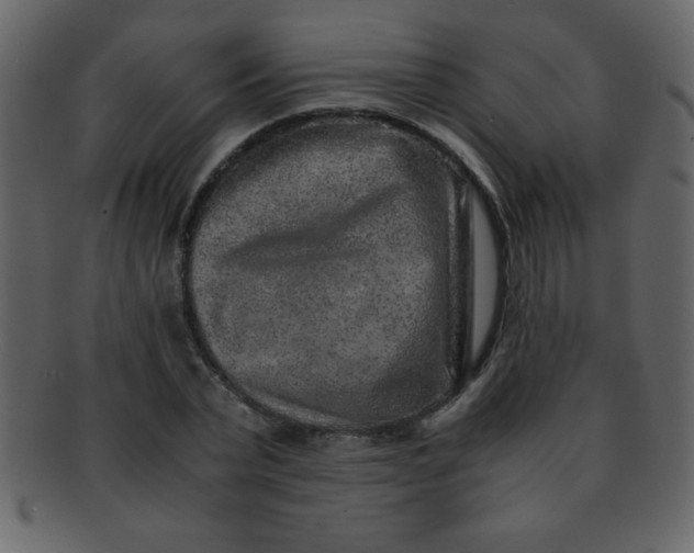 X0000093120783200710171245