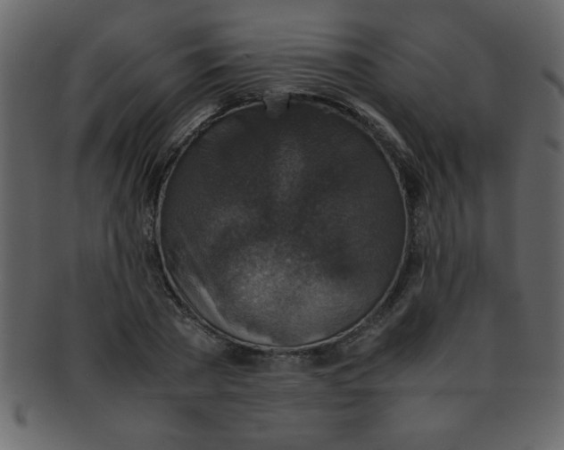 X0000093120785200710171245