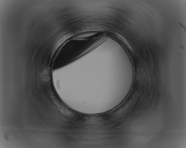 X0000093120786200710171245