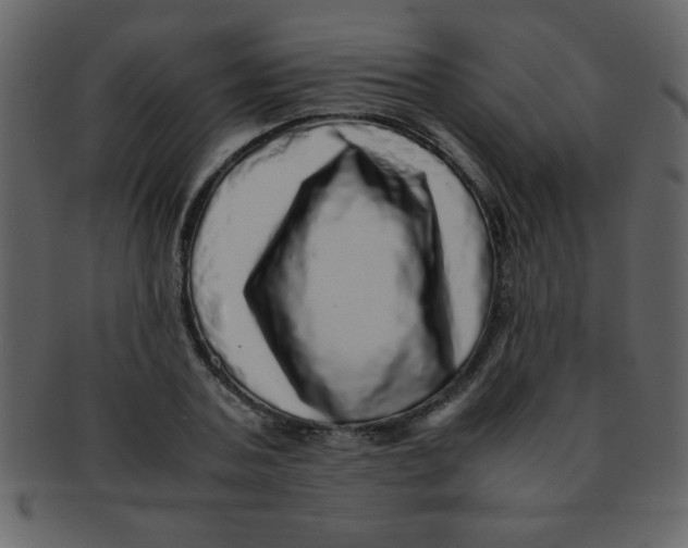 X0000093120787200710171245