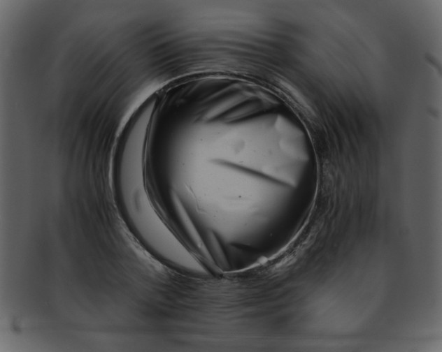 X0000093120788200710171245