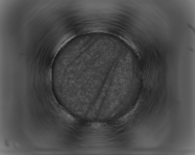 X0000093120790200710171245