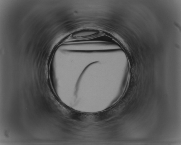 X0000093120791200710171244