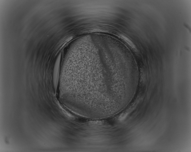 X0000093120793200710171244