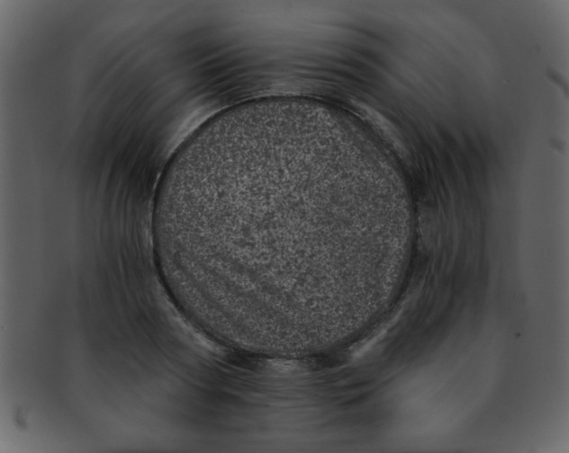 X0000093120794200710171244