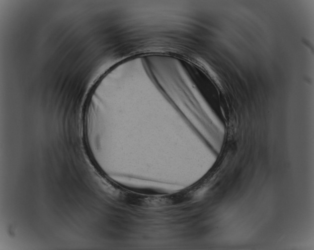 X0000093120795200710171244