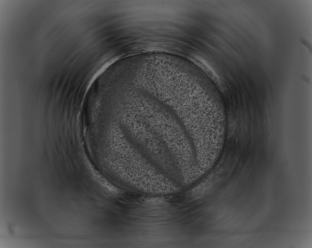 X0000093120798200710171244