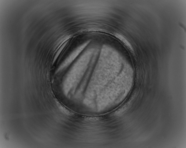 X0000093120801200710171244