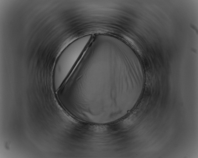 X0000093120802200710171244