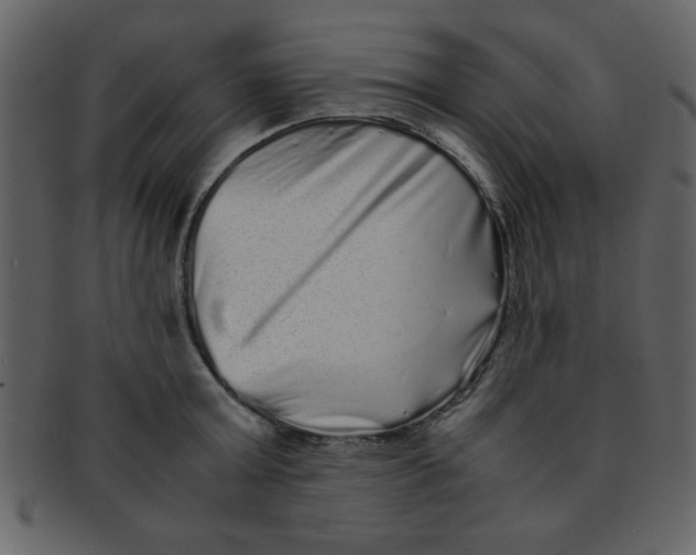 X0000093120803200710171244