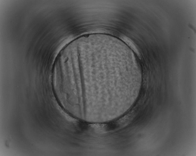 X0000093120805200710171244