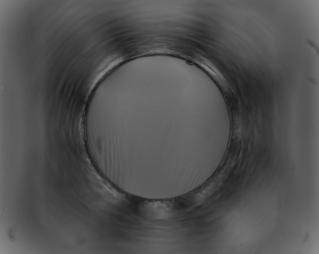 X0000093120806200710171244