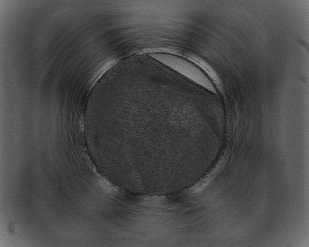 X0000093120809200710171244