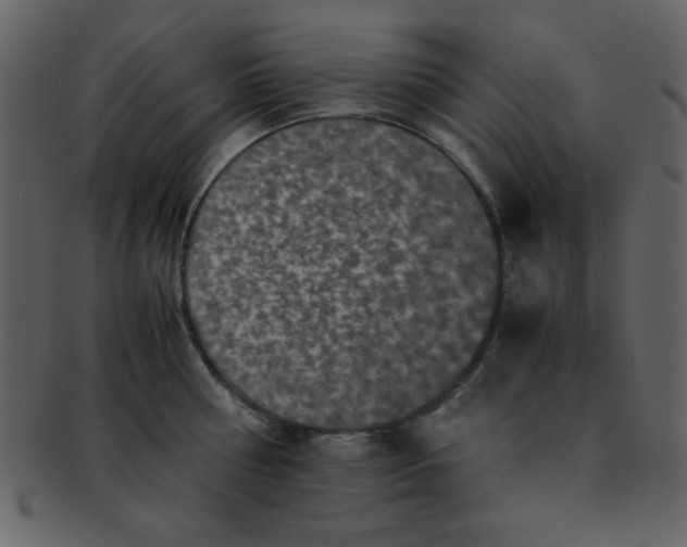 X0000093120810200710171244