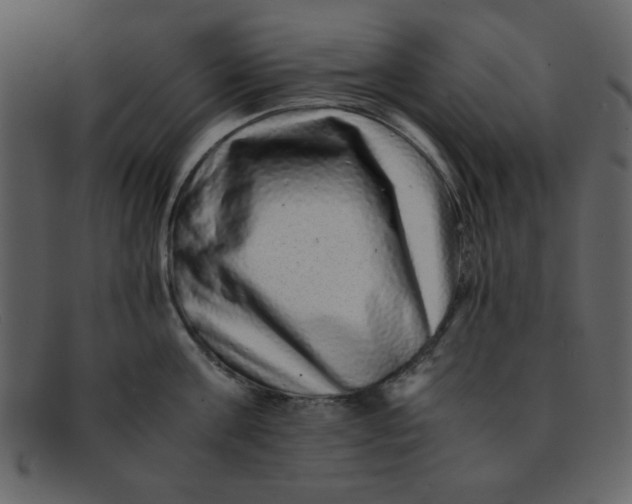 X0000093120811200710171244