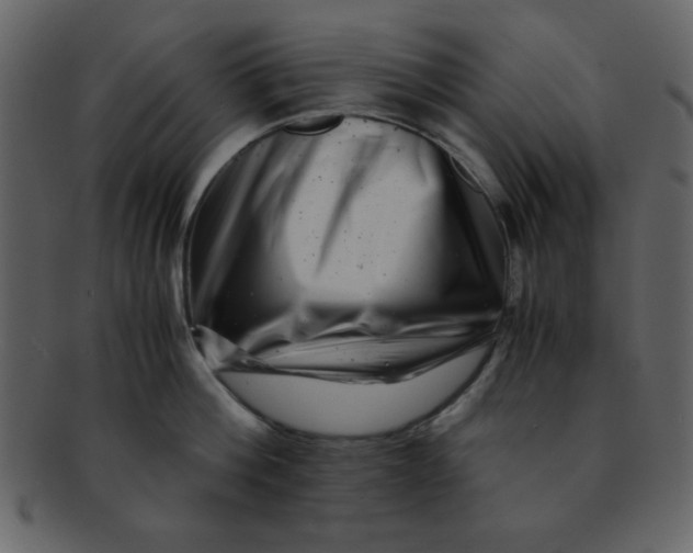 X0000093120812200710171244