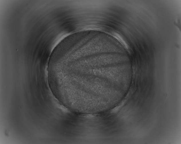 X0000093120814200710171244