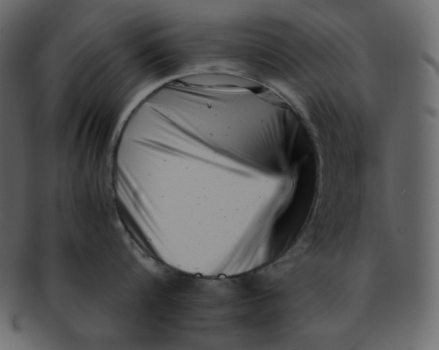 X0000093120816200710171244